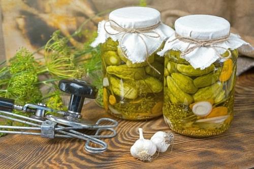 Как долго можно хранить замороженные огурцы с яблочным уксусом. Огурцы с яблочным уксусом на зиму — лучшие рецепты маринования, салата, быстрого приготовления