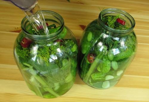 Засолка огурцов без кипятка. Солёные огурцы на зиму в банках холодным способом — 5 рецептов хрустящих огурцов