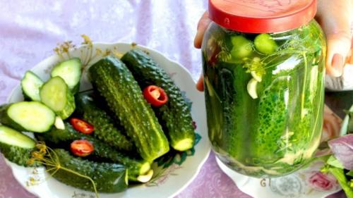 Можно ли хранить засолку огурцов без кипятка в холодильнике. Как хранить малосольные огурцы после засолки, чтобы они не испортились и не пересолились