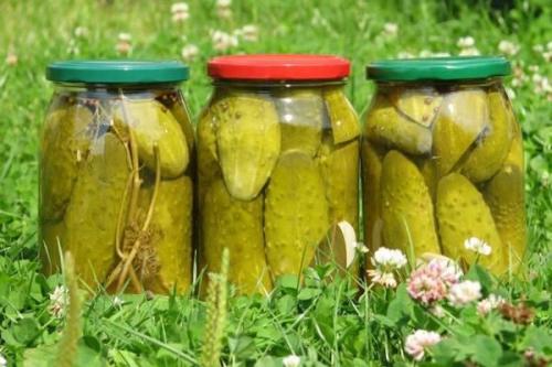 Какие ингредиенты можно использовать вместо сахара при консервации огурцов. 5 лучших рецептов маринованных огурцов без добавления сахара