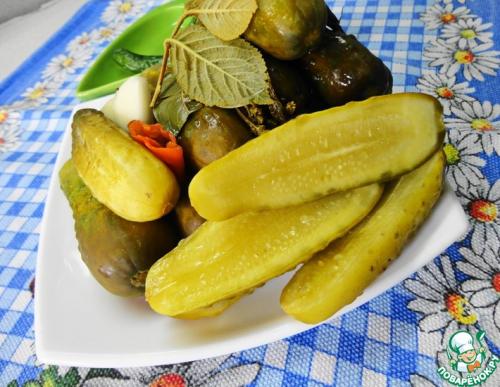 Можно ли делать засолку огурцов без кипятка в домашних условиях. Огурцы бочкового засола в городской квартире