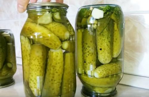Как долго храниться маринованные огурцы на 1 литровую банку с уксусом. Хрустящие маринованные огурцы на зиму — на 1,5 литровую банку