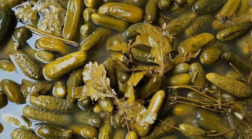 Заголовок 1: Как сохранить огурцы на зиму без сахара 05 Заголовок 1: Как сохранить огурцы на зиму без сахара 05