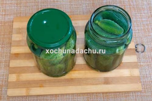 Можно ли добавлять другие ингредиенты в маринад для маринованных огурцов на 1 литровую банку с уксусом. Хрустящие маринованные огурцы на зиму в 1 литровых банках с 9% уксусом