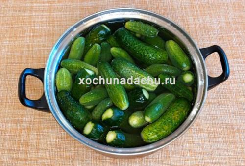 Можно ли добавлять другие ингредиенты в маринад для маринованных огурцов на 1 литровую банку с уксусом. Хрустящие маринованные огурцы на зиму в 1 литровых банках с 9% уксусом