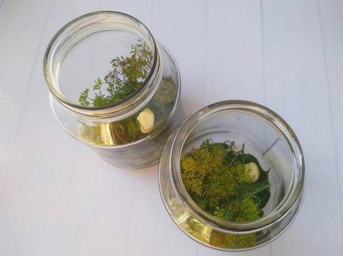 Можно ли добавлять другие ингредиенты в рецепт сладких огурцов без стерилизации. Сладкие маринованные огурцы на зиму