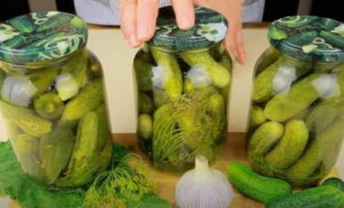 Как сохранить вкус и аромат сладких огурцов на зиму. Сладкие маринованные огурцы на зиму