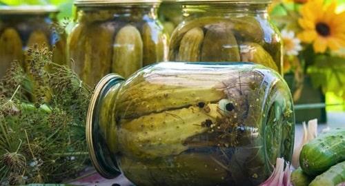 Можно ли подавать огурцы маринованные с яблочным уксусом, как закуску или гарнир. Огурцы с яблочным уксусом на зиму — лучшие рецепты маринования, салата, быстрого приготовления
