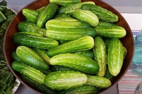 Можно ли подавать огурцы маринованные с яблочным уксусом, как закуску или гарнир. Огурцы с яблочным уксусом на зиму — лучшие рецепты маринования, салата, быстрого приготовления