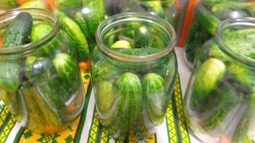Как долго можно хранить сладкие огурцы на зиму. Лучшие рецепты засолки сладких огурцов на зиму в банках от опытных домохозяек