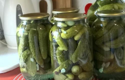Как правильно выбрать огурцы для приготовления маринованных огурцов без сахара с яблочным уксусом. Маринованные огурцы в банке без стерилизации