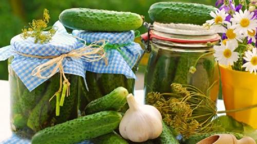 Как долго можно хранить сладкие огурцы на зиму. Лучшие рецепты засолки сладких огурцов на зиму в банках от опытных домохозяек