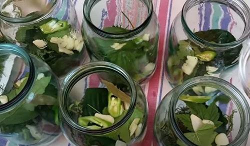 Можно ли подавать огурцы маринованные с яблочным уксусом, как закуску или гарнир. Огурцы с яблочным уксусом на зиму — лучшие рецепты маринования, салата, быстрого приготовления