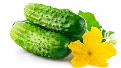 Что необходимо для приготовления острых маринованных огурцов без сахара с яблочным уксусом. Можно ли солить огурцы с яблочным уксусом на зиму и как это сделать правильно