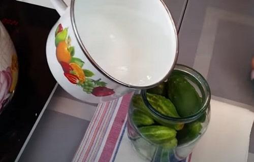 Можно ли приготовить маринованные огурцы без сахара с яблочным уксусом на заказ. Огурцы с яблочным уксусом на зиму — лучшие рецепты маринования, салата, быстрого приготовления