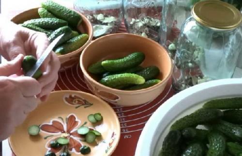 Как правильно выбрать огурцы для приготовления маринованных огурцов без сахара с яблочным уксусом. Маринованные огурцы в банке без стерилизации