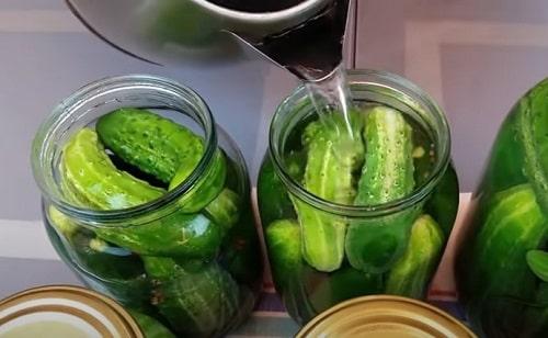 Можно ли подавать огурцы маринованные с яблочным уксусом, как закуску или гарнир. Огурцы с яблочным уксусом на зиму — лучшие рецепты маринования, салата, быстрого приготовления