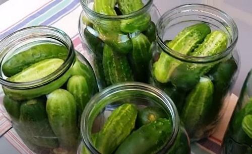 Можно ли подавать огурцы маринованные с яблочным уксусом, как закуску или гарнир. Огурцы с яблочным уксусом на зиму — лучшие рецепты маринования, салата, быстрого приготовления
