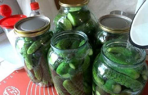 Как правильно выбрать огурцы для приготовления маринованных огурцов без сахара с яблочным уксусом. Маринованные огурцы в банке без стерилизации