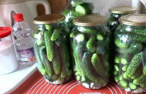 Как правильно выбрать огурцы для приготовления маринованных огурцов без сахара с яблочным уксусом. Маринованные огурцы в банке без стерилизации