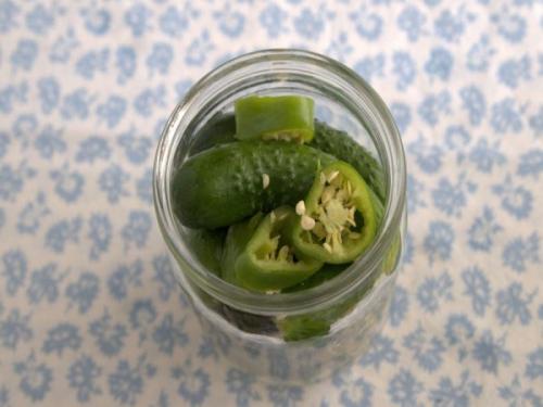 Вкусные и полезные: рецепт острых маринованных огурцов без сахара с яблочным уксусом 03 Вкусные и полезные: рецепт острых маринованных огурцов без сахара с яблочным уксусом 03