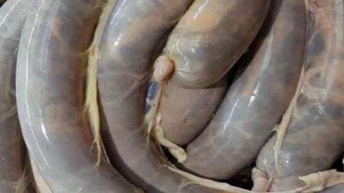 Казы (колбаса, как готовить). Как и сколько варить казылык