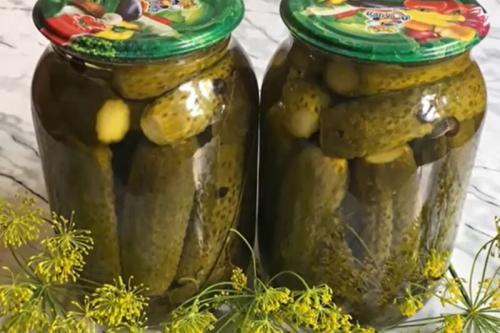 Как выбрать огурцы для приготовления маринованных огурцов с уксусом на зиму. Хрустящие маринованные огурцы на зиму в банках — 10 самых вкусных рецептов, пальчики оближешь