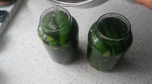 Огурцы маринованные на зиму рецепт на 1 литровую банку.. Самый вкусный рецепт консервированных огурцов на зиму на 1 литр