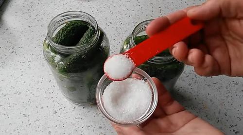 Огурцы маринованные на зиму рецепт на 1 литровую банку.. Самый вкусный рецепт консервированных огурцов на зиму на 1 литр