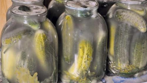 Как избежать появления плесени при консервации огурцов без зелени. Почему могла появиться плесень на соленых огурцах и что с этим делать
