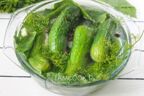 Хрустящие маринованные огурцы на зиму: простой рецепт с проверенными советами 05 Хрустящие маринованные огурцы на зиму: простой рецепт с проверенными советами 05