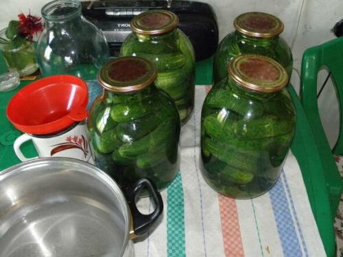 Какой оптимальный рецепт маринада с уксусом для огурцов в литровых банках. Маринованные и хрустящие огурцы на зиму в банках
