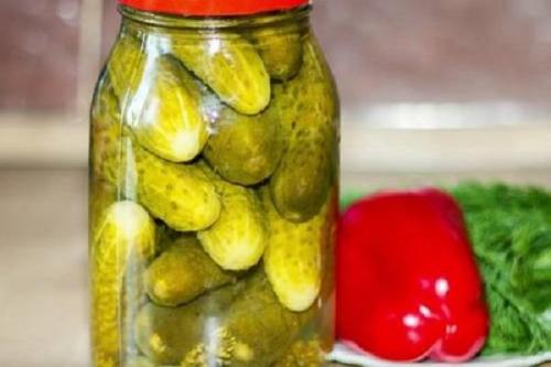 Какие преимущества маринования огурцов без сахара. 7 лучших рецептов приготовления маринованных огурцов без сахара на зиму