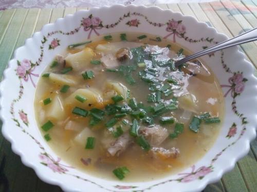 Суп из скумбрии консервы. Суп из рыбной консервы «Скумбрия с маслом»