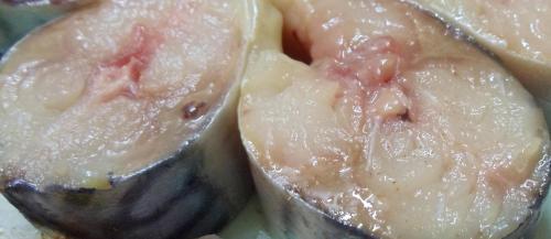 Суп со скумбрией и пшеном. Суп из скумбрии свежемороженой: два лучших рецепта