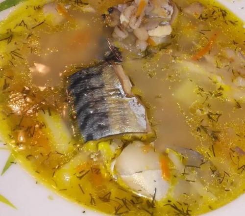 Суп из скумбрии с манкой. Как приготовить классную уху из любой скумбрии