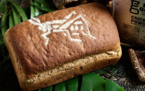 Что определяет цвет серого хлеба. Какой цвет у вашего хлеба, и отчего это зависит?