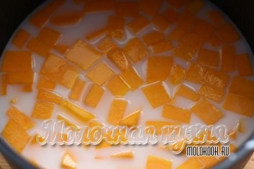 Какой секрет в добавлении тыквы в кашу. Лучшие пошаговые рецепты тыквенной каши — готовим быстро и вкусно