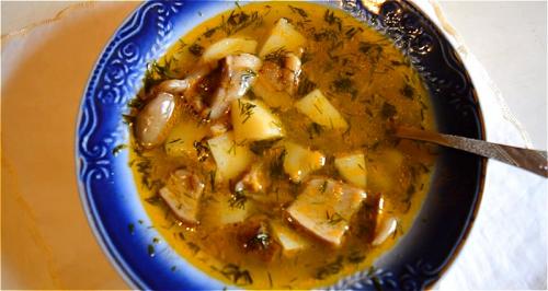 Как варить грибной суп из свежих грибов. Как сварить грибной суп из свежих грибов? Самые вкусные рецепты