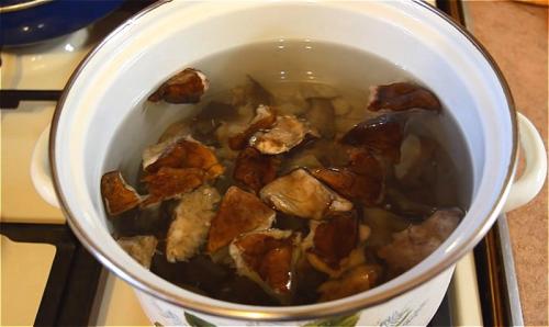 Как варить грибной суп из свежих грибов. Как сварить грибной суп из свежих грибов? Самые вкусные рецепты