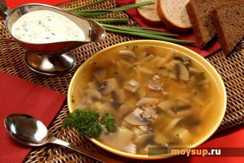 Польский суп с шампиньонами и курицей. Поговорим о польской кухне ...