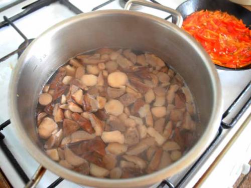 Суп с польскими грибами рецепт. Грибной суп с польскими грибами 08 Суп с польскими грибами рецепт. Грибной суп с польскими грибами 08