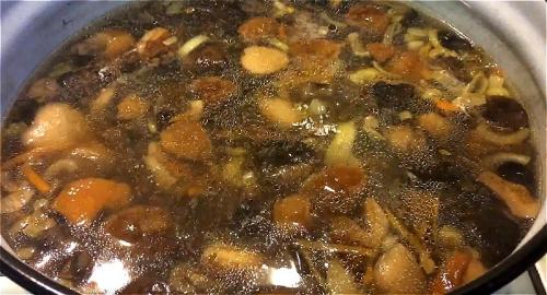 Как варить грибной суп из свежих грибов. Как сварить грибной суп из свежих грибов? Самые вкусные рецепты