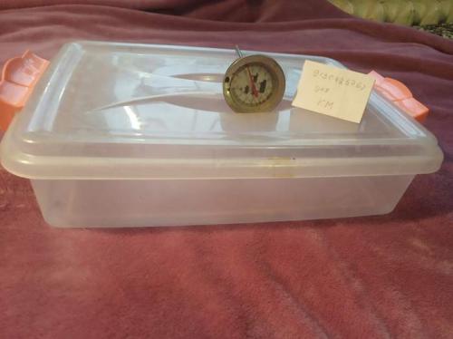 Какие ошибки чаще всего допускают новички при приготовлении серого хлеба. Что необходимо для того, чтобы хлеб получился с первого раза?