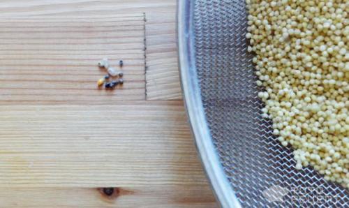 Пшенная каша с тыквой и изюмом в духовке. Рецепт: Пшенная каша с тыквой и изюмом в горшочке - В духовке