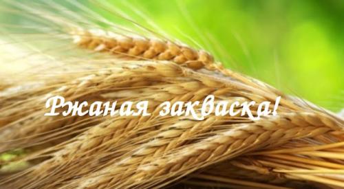 Пшеничный хлеб без дрожжей на хмелевой закваске. БЕЗДРОЖЖЕВОЙ ХЛЕБ НА ХМЕЛЕВОЙ ЗАКВАСКЕ!