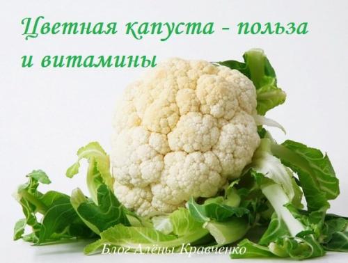 Как приготовить цветную капусту на зиму: секреты и рецепты 16 Как приготовить цветную капусту на зиму: секреты и рецепты 16