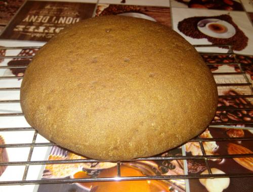 Хлеб с солодом без ржаной муки. Пшенично-ржаной хлеб с солодовым экстрактом