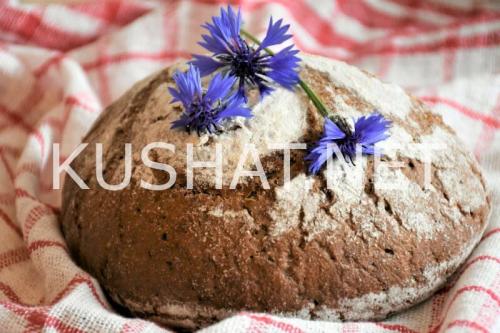 Ржаной хлеб в духовке на дрожжах. Хлеб из ржаной муки в духовке на дрожжах. Рецепт с фото