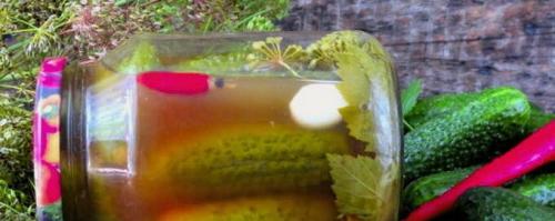 Томатный соус с солеными огурцами. Огурцы в томатной заливке на зиму – 8 обалденных рецептов в банках